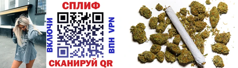Купить наркотик аптеки Подпорожье Каннабис  Alpha-PVP  COCAIN  Гашиш  Меф мяу мяу 