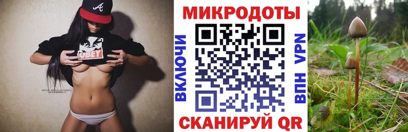 Псилоцибиновые грибы GOLDEN TEACHER  Подпорожье 